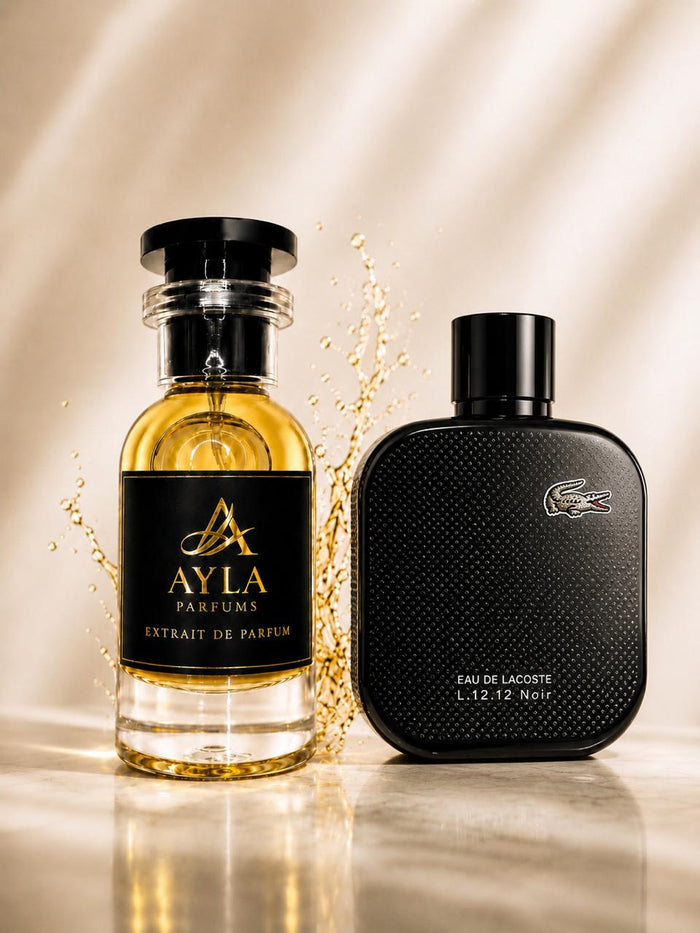 Ayla Legend Night