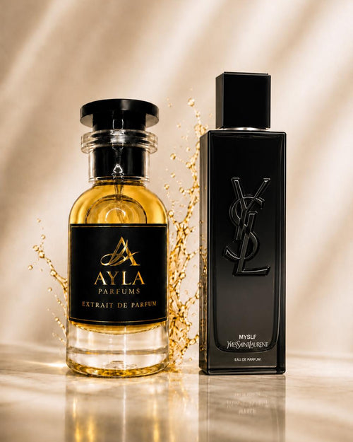 Ayla Y